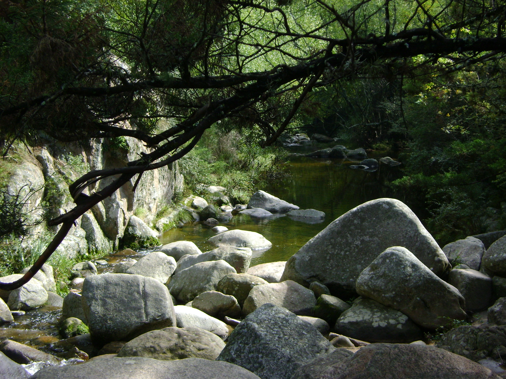 fotos/2011 - Los Reartes/DSC03373.JPG